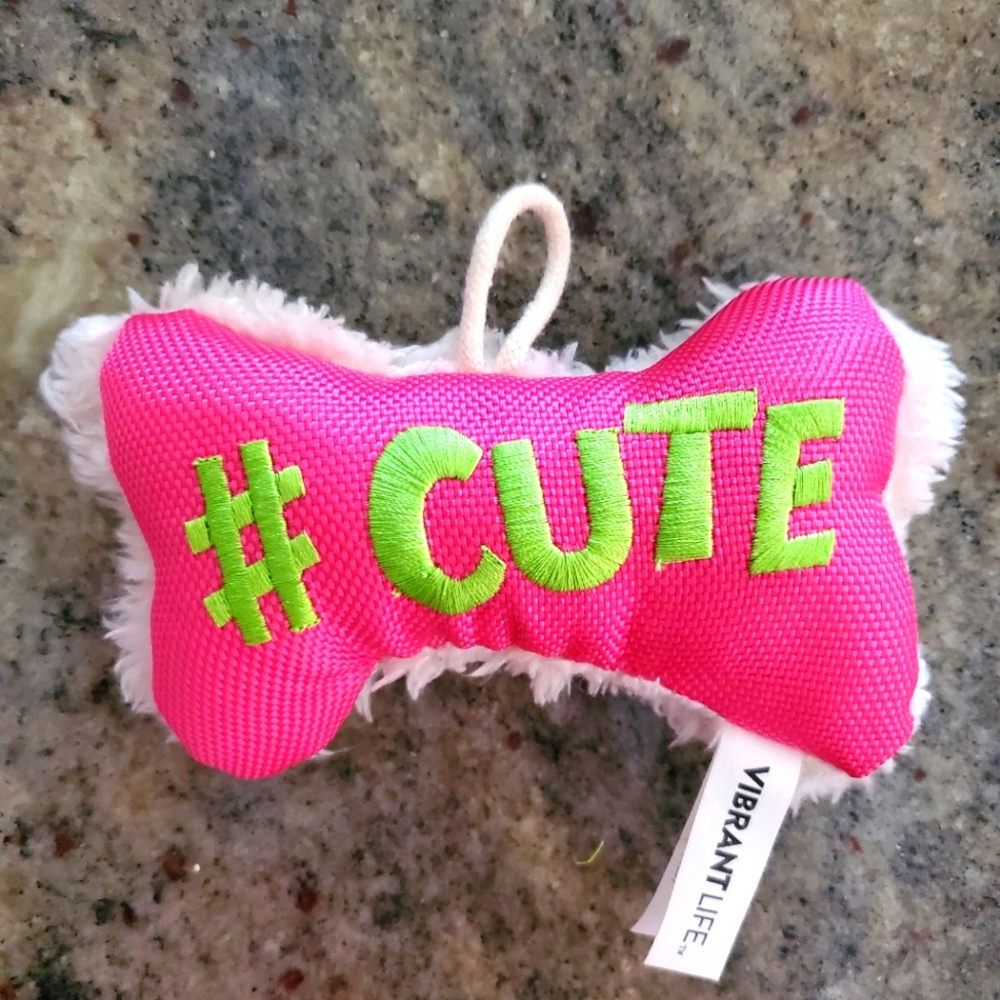Vibrant Life Cozy Buddy‎ Squeaky Bone Dog Toy, #CUTE, Chew Level 1